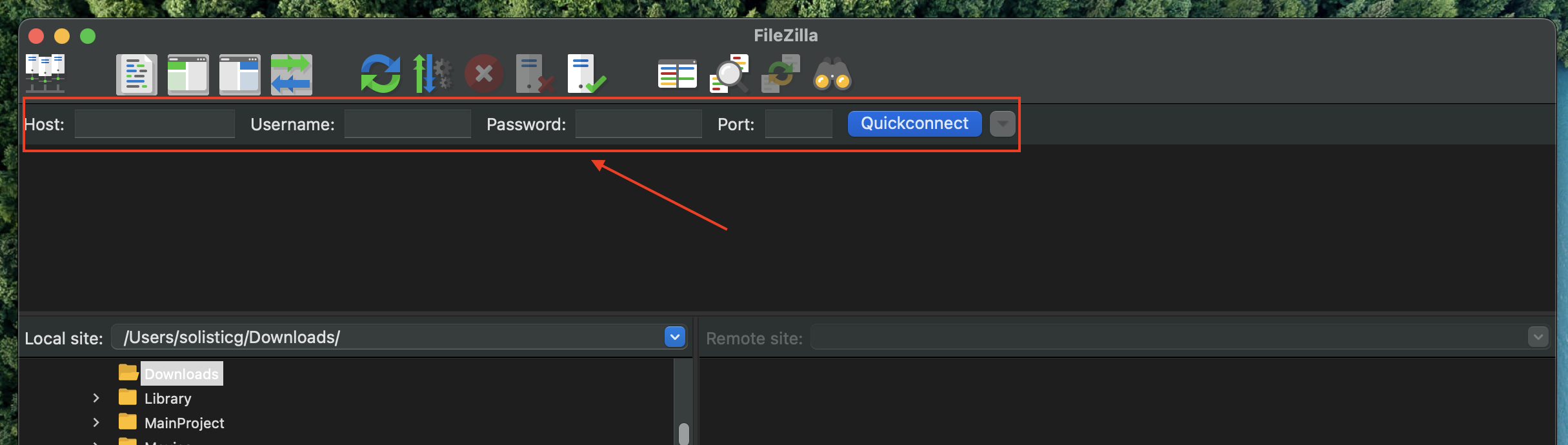 Update A WordPress Plugin or Theme Manually: FTP details