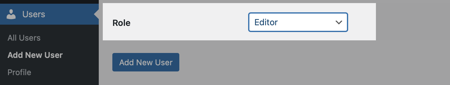 User Roles and Permissions - Editor