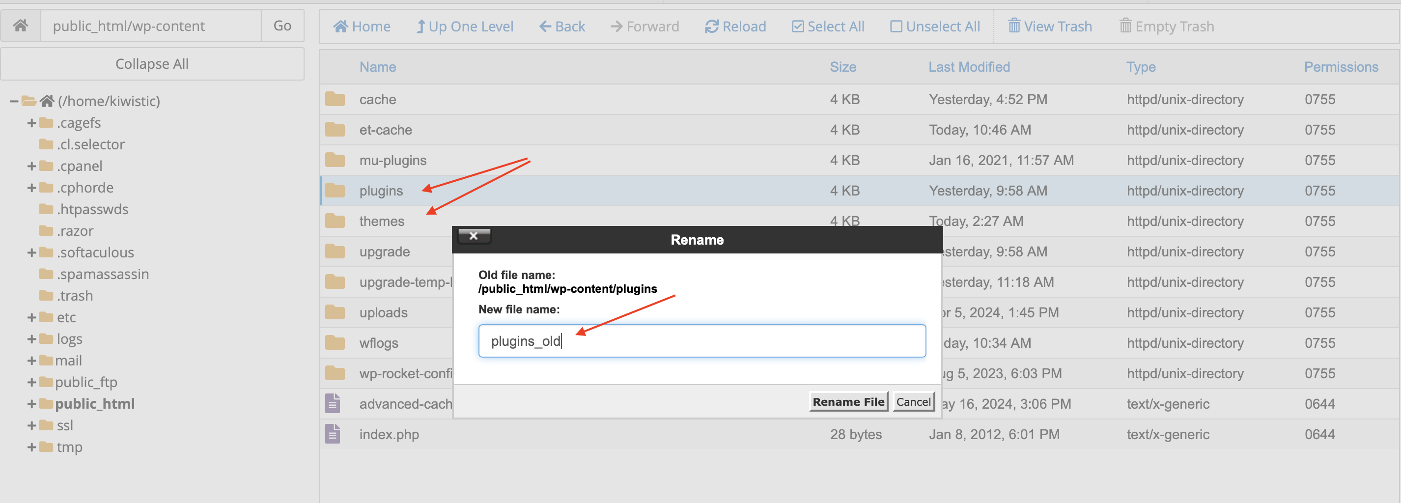 theme & plugin rename