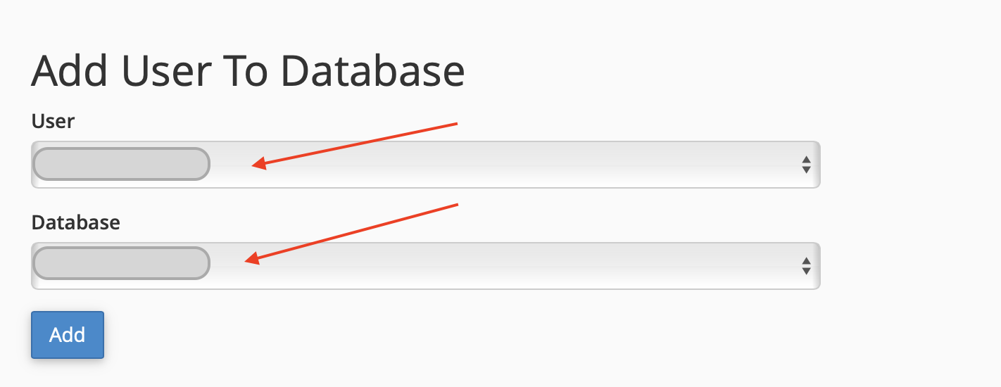 Error Establishing a Database Connection: Database Username and Name