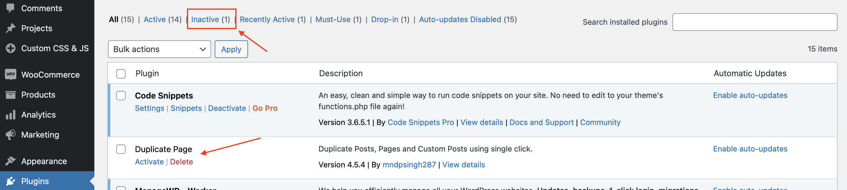Inactive WordPress Plugins