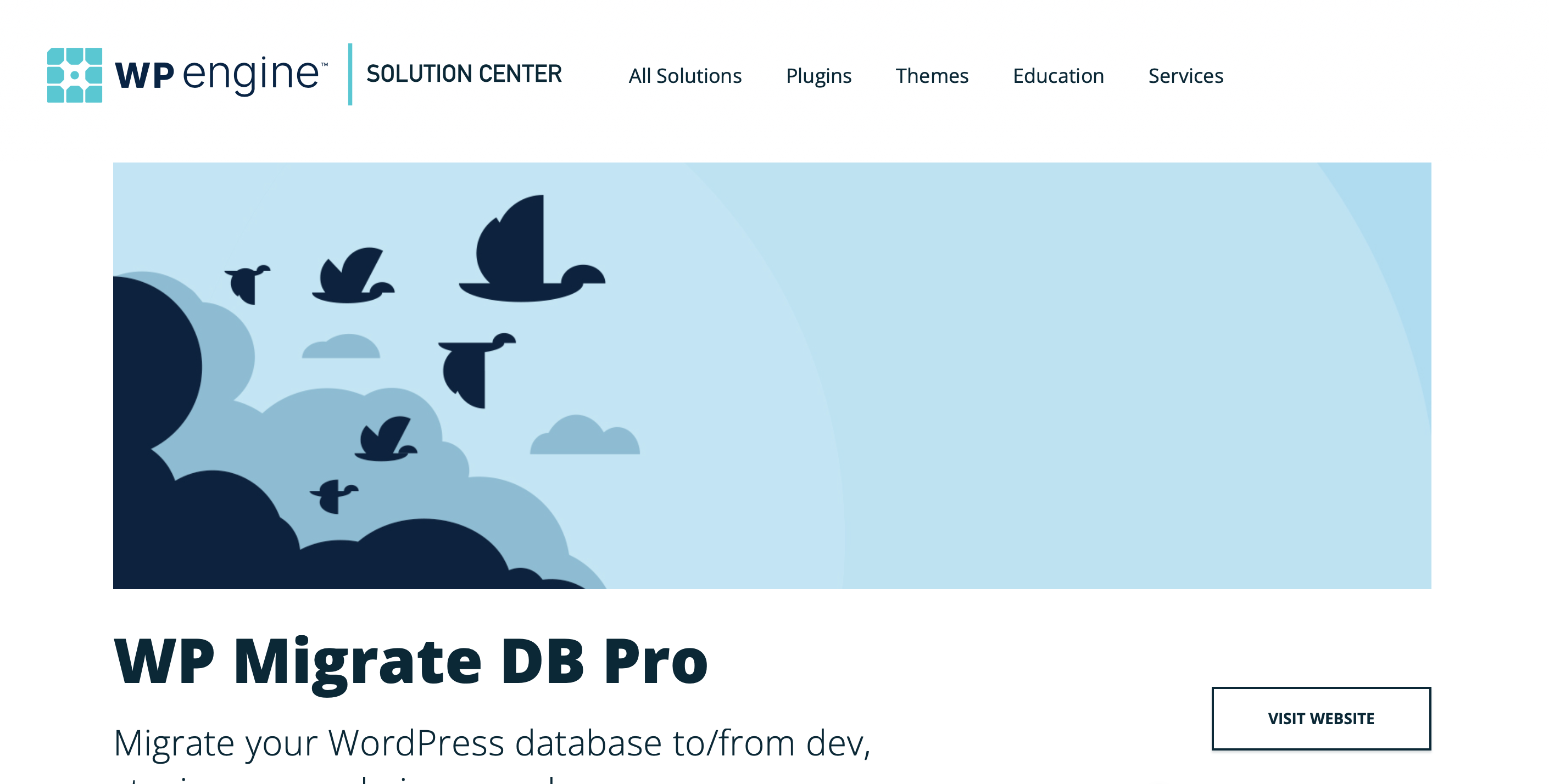 WP Migrate DB WP Migrate DB