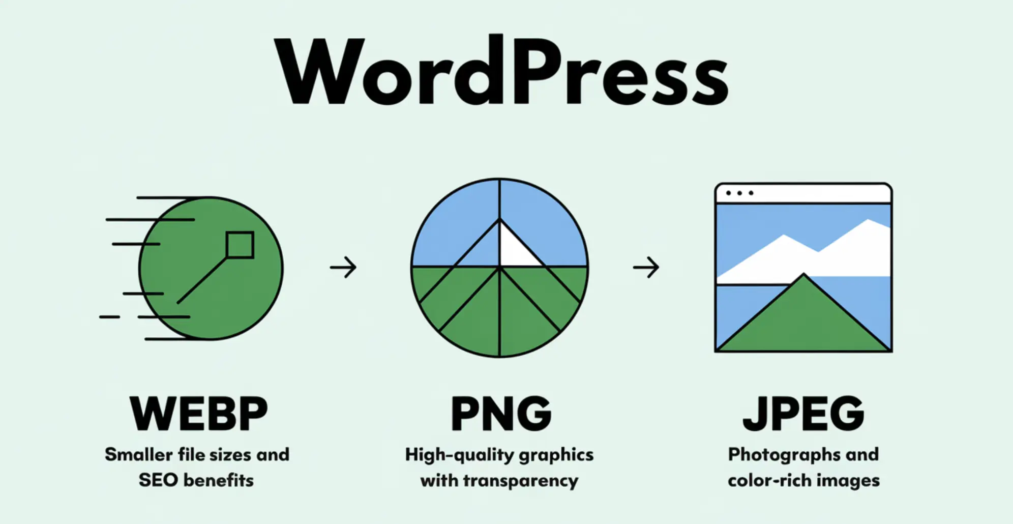 Which Image Format is Best for Your
