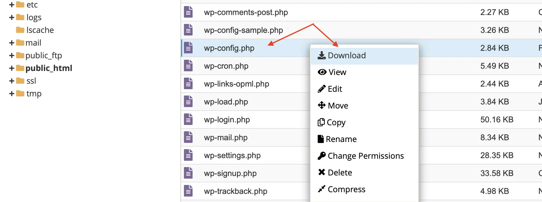 Download wp-config.php file
