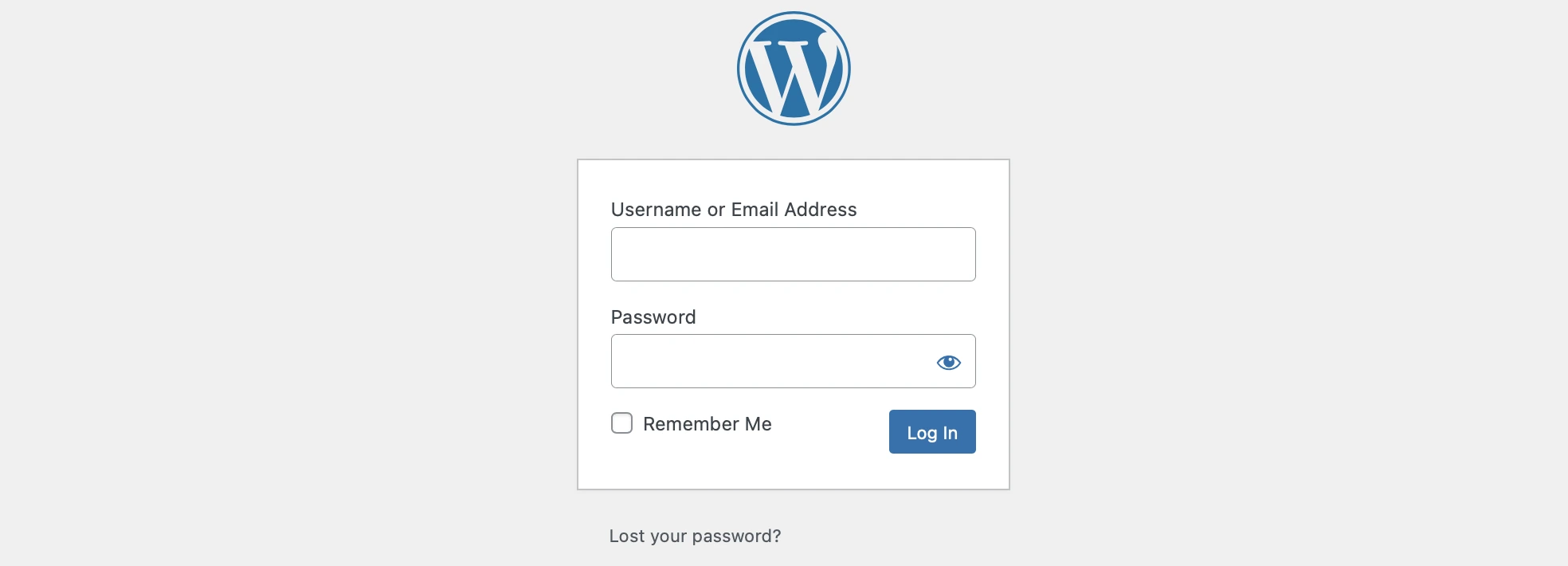 Log In to WordPress Website