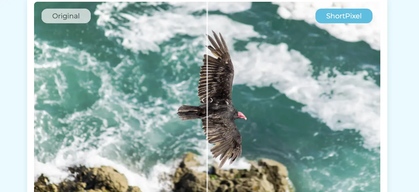WordPress image optimization: ShortPixel Image Optimizer