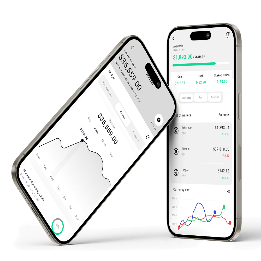 Budget Forcasting Wallet mobile app screen design Budget Forcasting Wallet mobile app screen design
