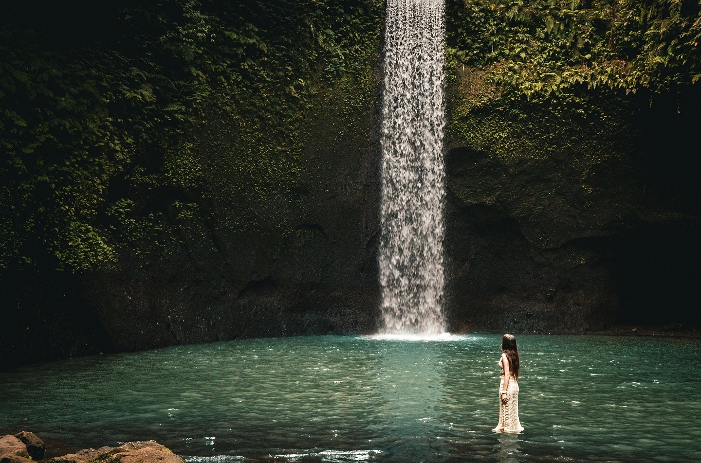 Eden Invest Bali WordPress website development project
