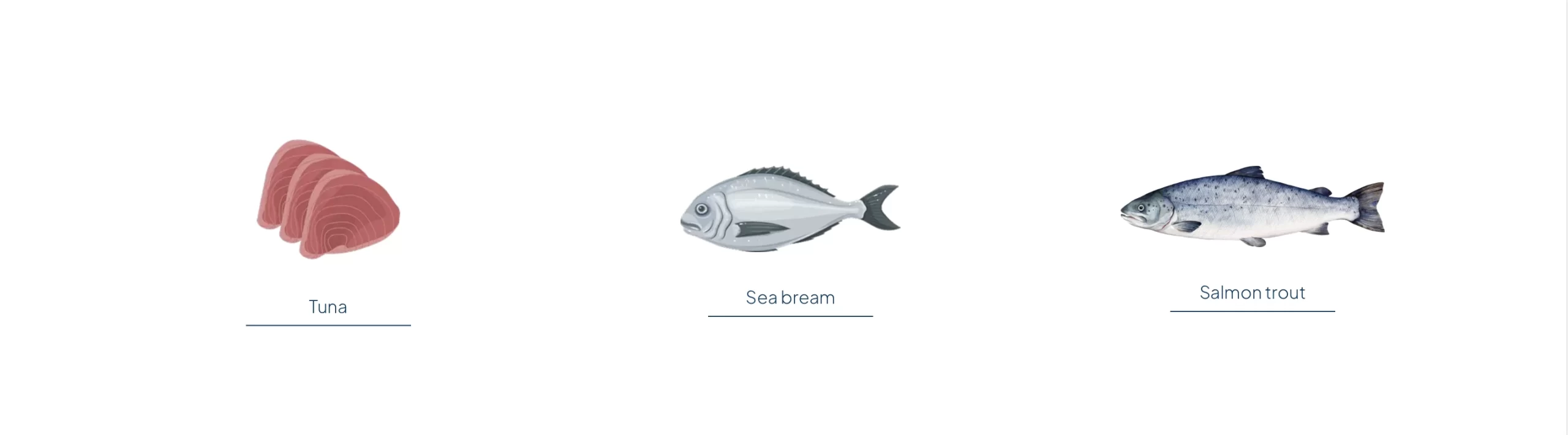 Fishes Slider