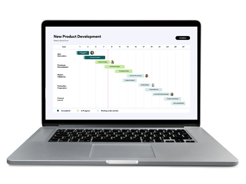 New project development roadmap