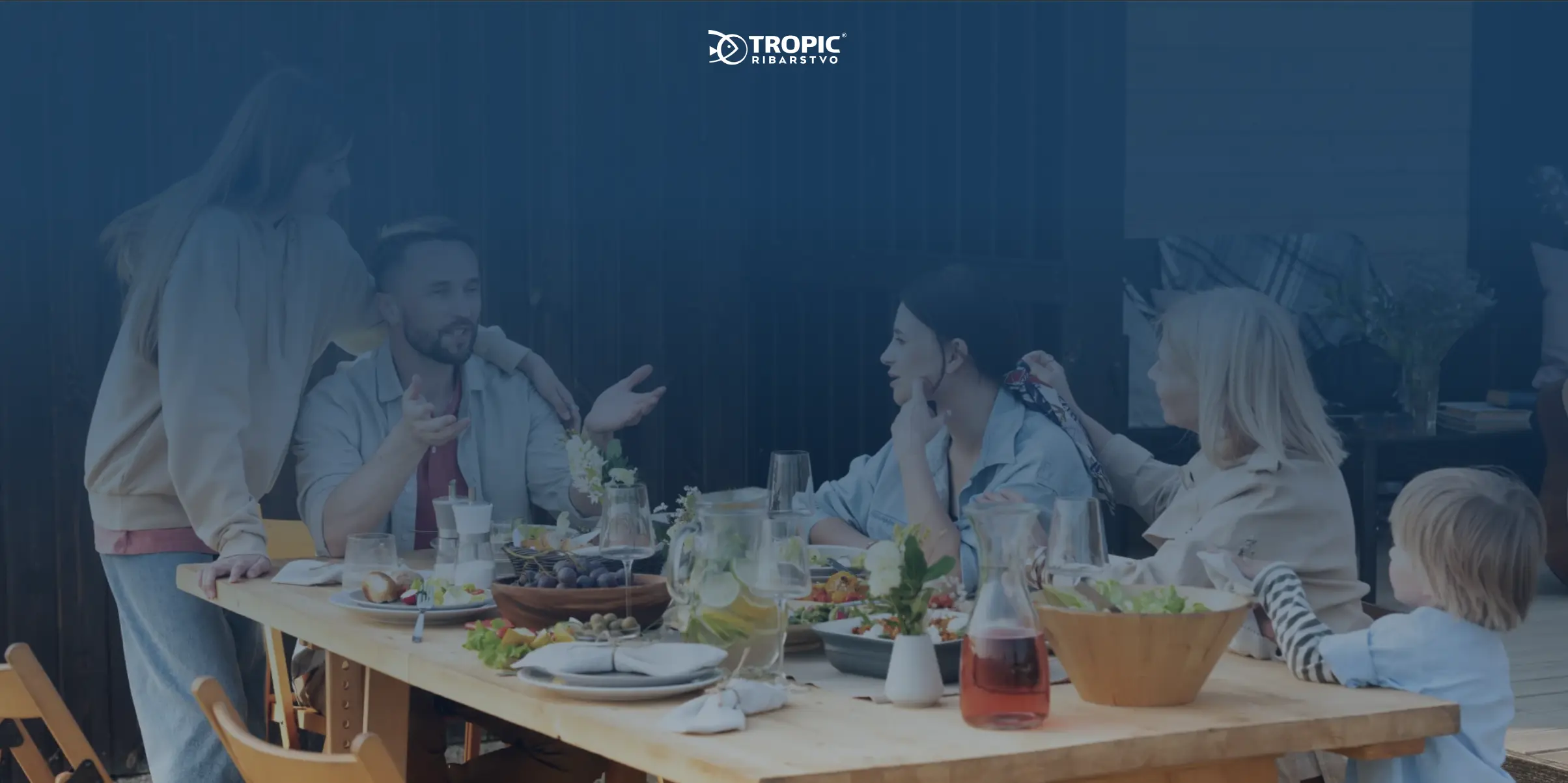 Tropicfish B2B WordPress website redesign project