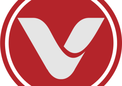 Case Study – VINS AGENCY BRANDING PROJECT